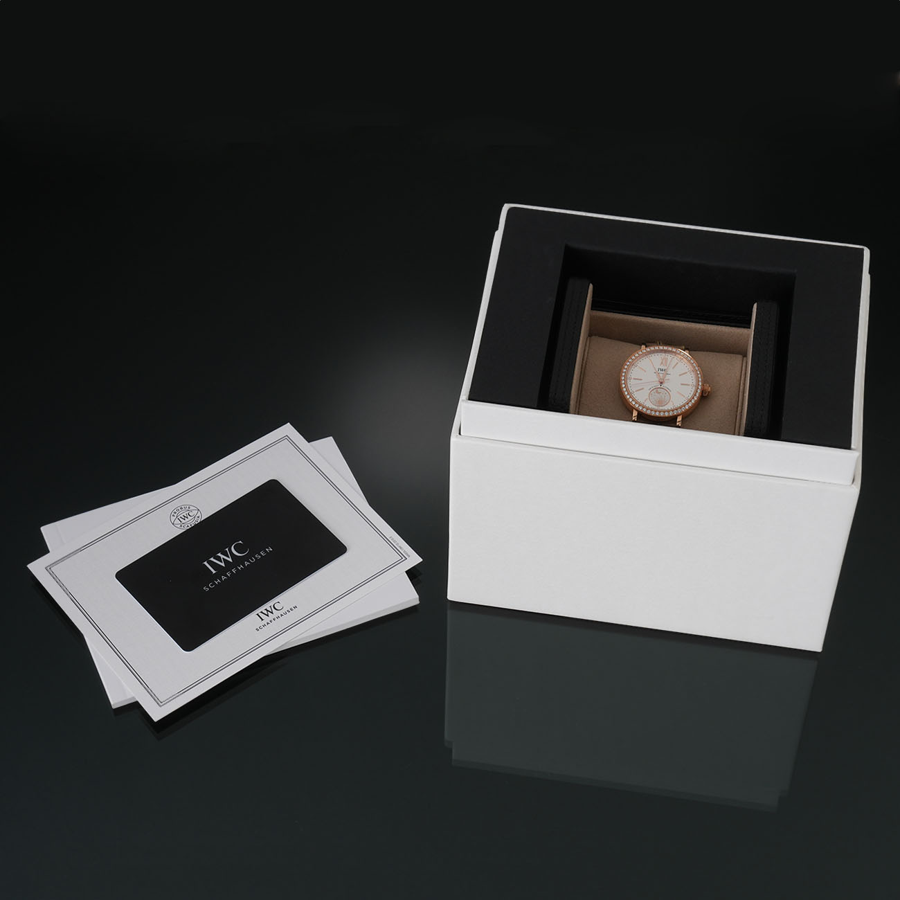 IWV 포르토피노 데이 & 나이트